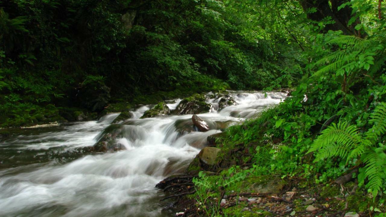 Albergue Olasenea Aterpea Zubieta ภายนอก รูปภาพ