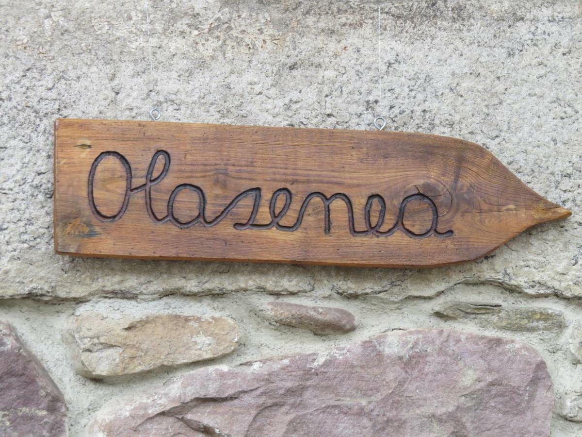 Albergue Olasenea Aterpea Zubieta ภายนอก รูปภาพ